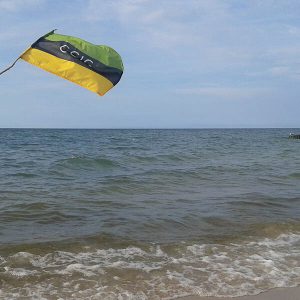 Akcja Flaga CCIG 2014 - E.Gladkowska - flaga na patyku