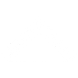 leroy merlin logo white